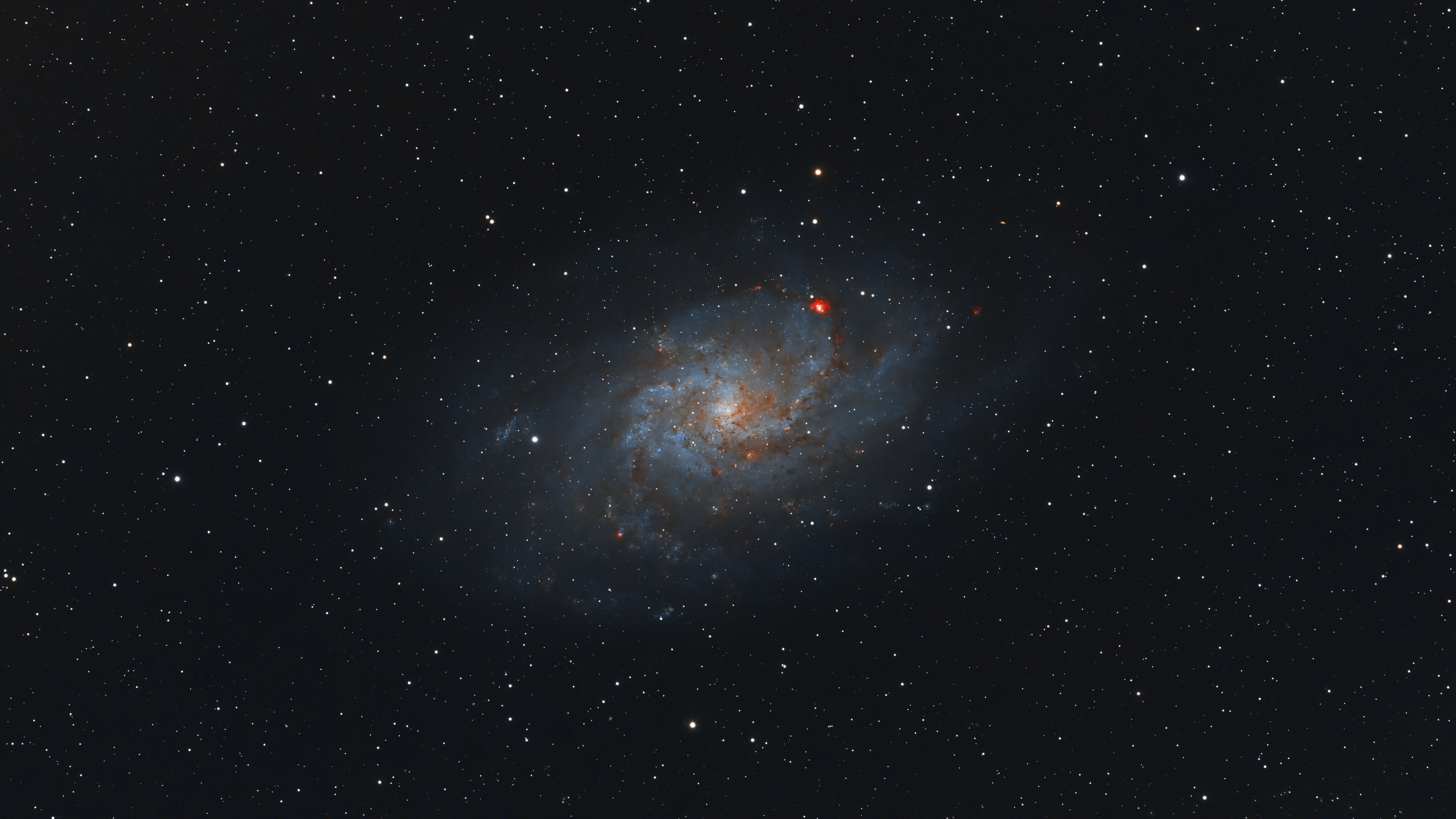 M33